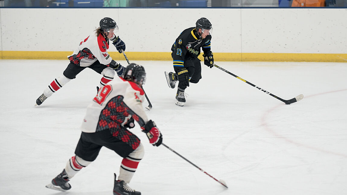 11-09-20 Hawks 3.jpg
